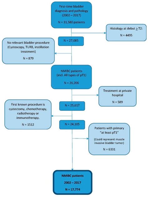 Use of Bladder-Related Medication in Non-Muscle Invasive Bladder Cancer ...