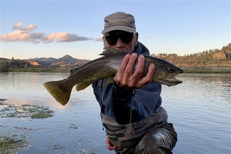 Guided Montana Fly Fishing Trips | Davidson River Outfitters