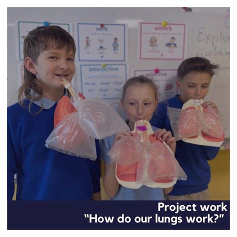 Project work “How do our lungs work?” - Lviv British School