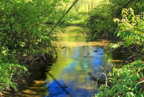 Nature Landscape 的图像结果
