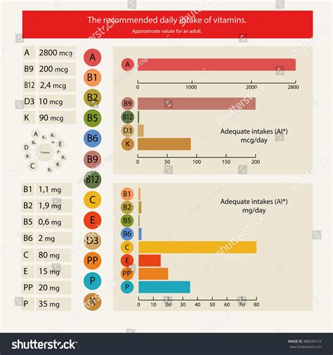 Recommended Daily Intake Vitamins Tables Graphs Stock Illustration 388039123 | Shutterstock