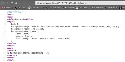 Easy Peasy TryHackMe walkthrough | Hacking Truth.in