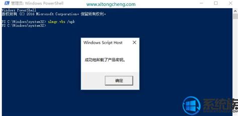 激活Windows XP密钥，快速激活您的操作系统_windowsXP教程_windows10系统之家
