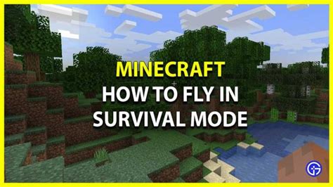 Image result for How to Fly in Survival Using Commands Java