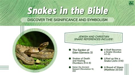 What Does The Bronze Snake Mean In The Bible at Isaac Brier blog