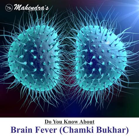 Understanding How Brain Fever Comes: Symptoms And Causes