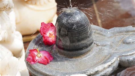 Mahashivratri Rudrabhishek ke fayde: महाशिवरात्रि के दिन क्यों करना ...