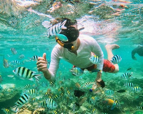 LOMBOK WONDERLAND TOUR AND TRAVEL (2026) All You Need to Know BEFORE ...