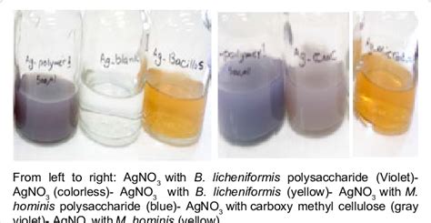 Change of AgNO 3 solution