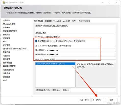 Microsoft SQL Server 的图像结果
