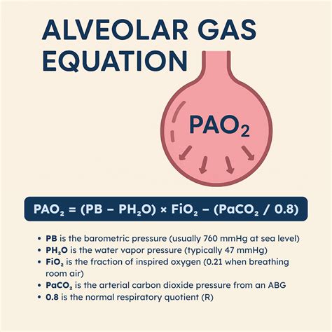 Alveolar Gas Equation: Overview and Calculation (2026)
