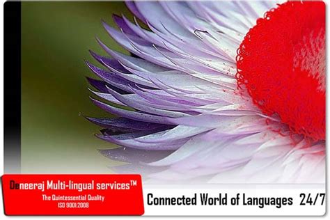 Deneeraj multi-lingual services| Language document Translation in ...