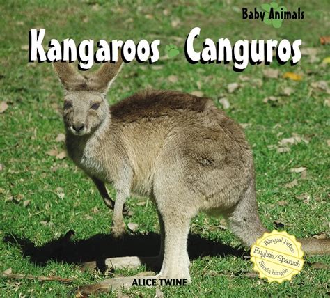 Kangaroos/ Canguros (Baby Animals/Animales Bebé) (Spanish and English ...