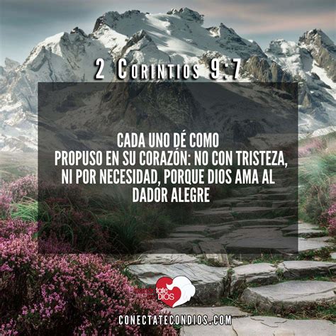 Los 7 Mejores Versículos para la Ofrenda - Conéctate Con Dios