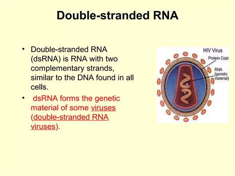 BASICS OF MOLECULAR BIOLOGY | PPT