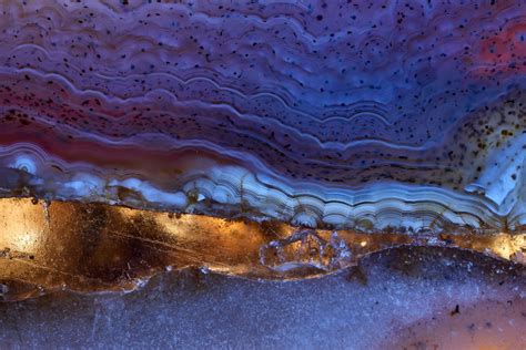 Image result for Var Autoencoder IBM