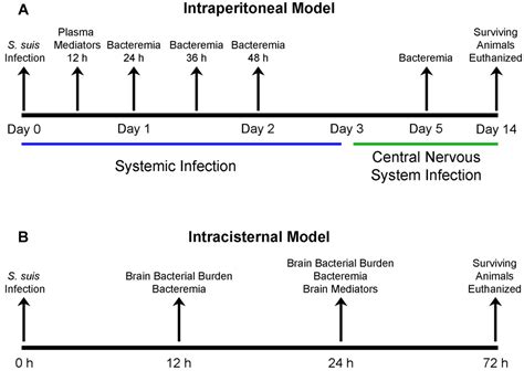 Pathogens | Special Issue : Streptococcus suis