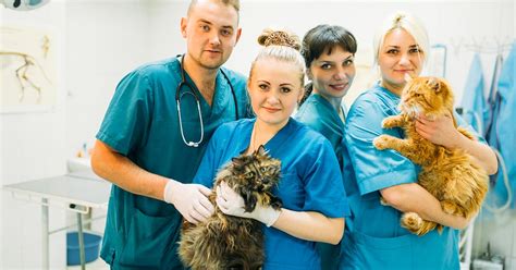 Image result for Flowing User Interface Design