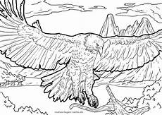 ausmalbilder zum ausdrucken adler malvorlage adler tiere kostenlose ausmalbilder ausmalbilder zum ausdrucken adler malvorlage adler tiere kostenlose ausmalbilder