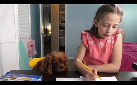 Shiloh nelson bio age height nationality net worth facts – Artofit