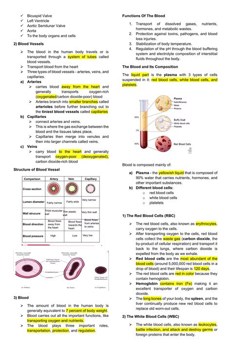 summative-in-science-reviewer.pdf