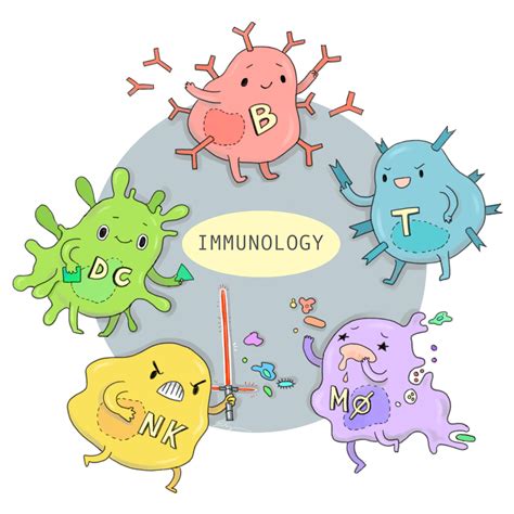 Simple Immune System Drawing - Drawing Tips Guide
