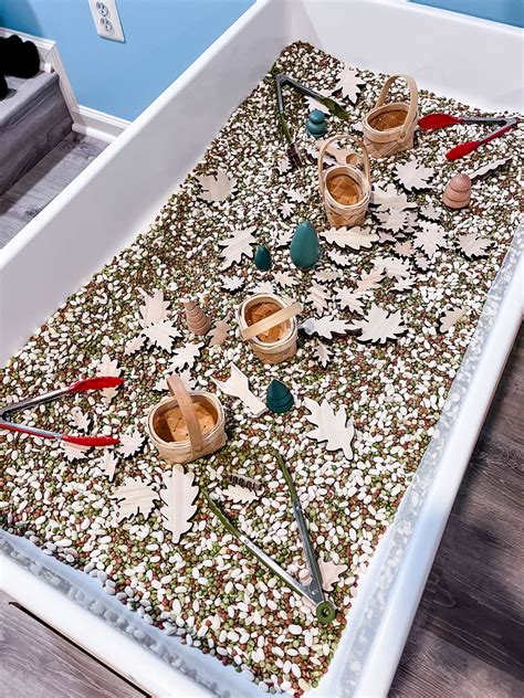 20 Engaging Sensory Table Ideas for the Preschool Classroom - Play to Learn Preschool