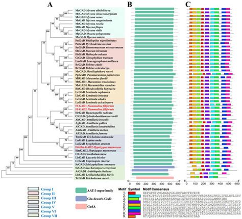 Whole-Genome Sequence Analysis of Flammulina filiformis and Functional ...