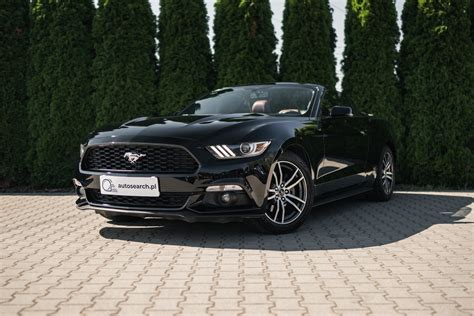 Samochody marki Ford dostępne w sprzedaży | oferta AutoSearch