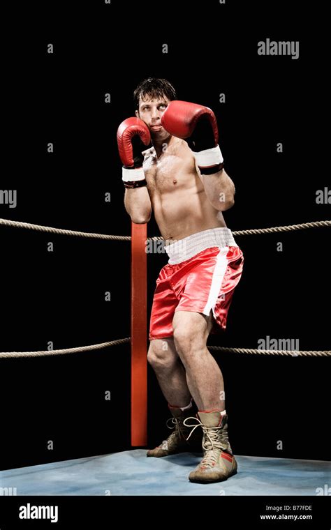 Boxing Fighting Position 的图像结果