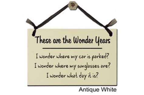 Buy The Are The Wonder Years - Decorative Sign S-254-G Online at Low ...