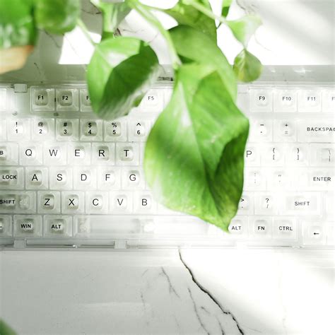 Alienware Keyboard 75 Transparent 的图像结果