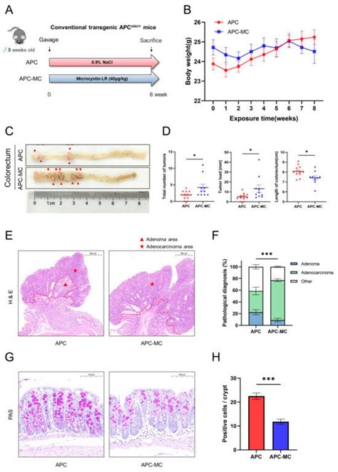 Exposure to Microcystin-LR Promotes Colorectal Cancer Progression by ...