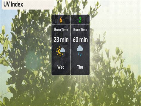 NYC Weather Watch: Your Comprehensive Guide to This Week's Forecast ...