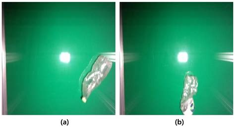 Advancing Plastic Waste Classification and Recycling Efficiency ...