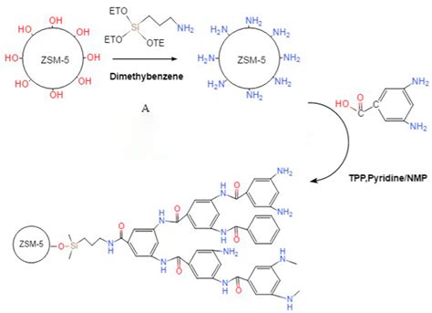 Preparation and Space Charge Properties of Functionalized Zeolite ...
