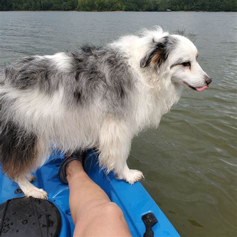 Energy Lake Campground | Land Between the Lakes National Recreation ...