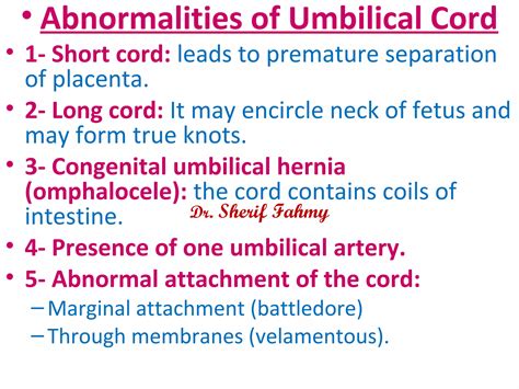 Umbilical Cord (General Embryology) | PPS