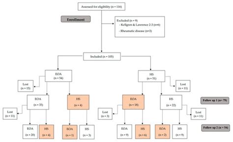 Early Knee Osteoarthritis Classification and Clinical Evolution: A ...