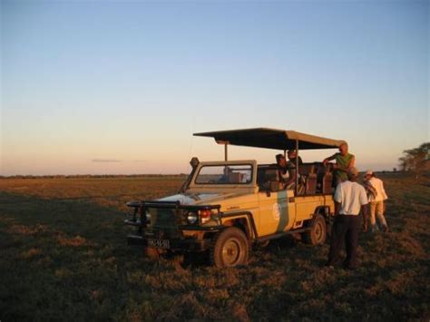 Gorongosa National Park Tourism (2023): Best of Gorongosa National Park ...