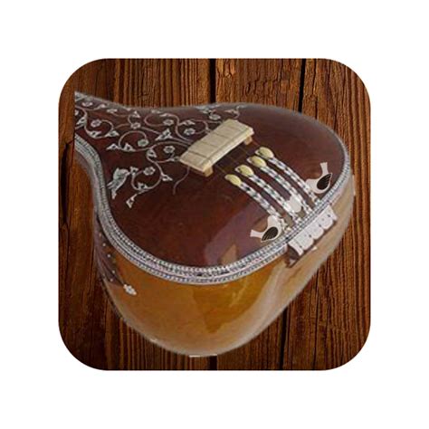 Image result for Indian String Instruments