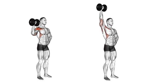 Single Arm Shoulder Press: Benefits & Tips