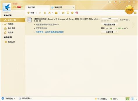 迅雷VIP尊享版最新版免费下载_迅雷VIP尊享版7.3.13.264中文安装版 - 系统之家