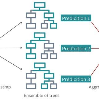 Image result for Random Forest Algorithm for Multiple Class