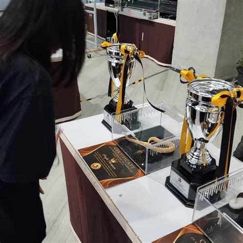 Image result for Basic Ball Python