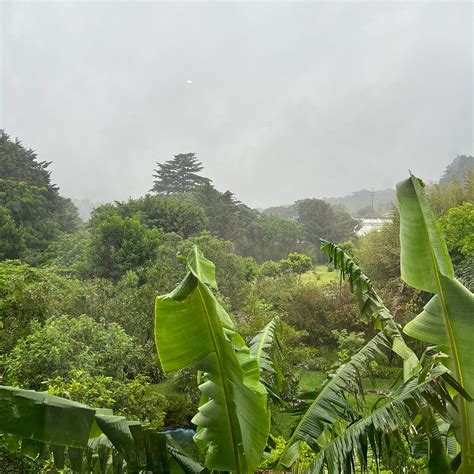 CATARATA LOS MURCIELAGOS - MONTEVERDE WATERFALL (2026) All You Need to ...
