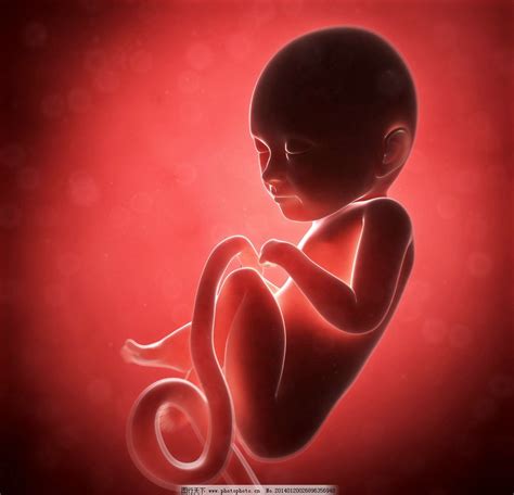 怀孕六个月胎儿发育很快，这些事项每一个都重要，孕妈做完才安心_宝宝