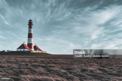 Image result for Full-Stack Web Development Animation. Design Pictures