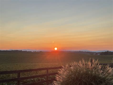 Old Trade 的图像结果