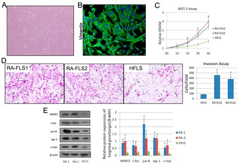 High-Throughput Study of the Effects of Celastrol on Activated ...